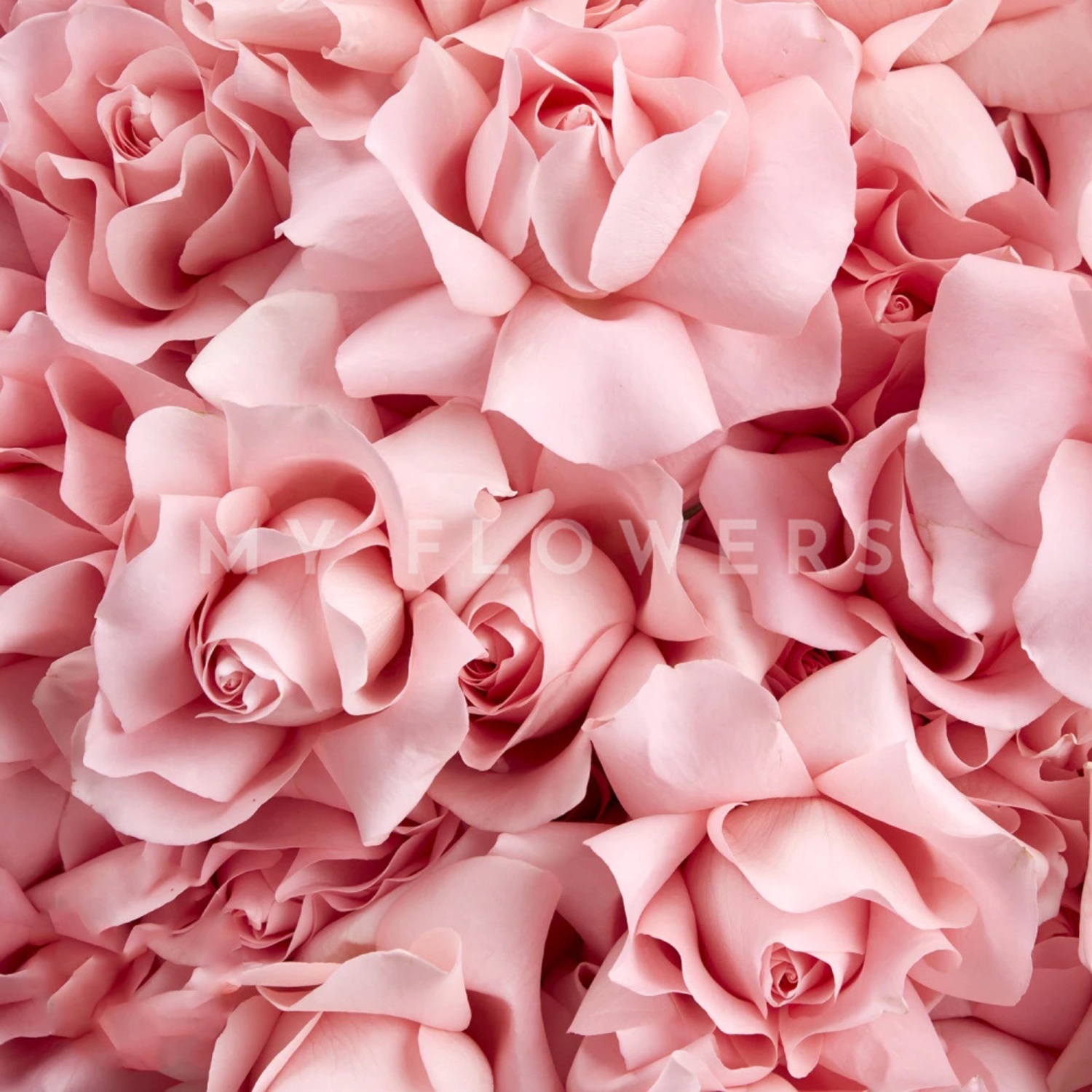 Cherry Blossom Bouquet