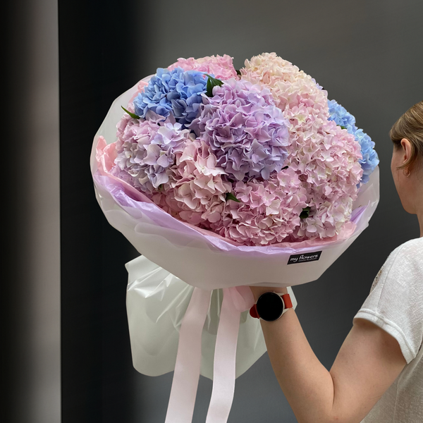 Hydrangea delights - Premium Dutch Hydrangea