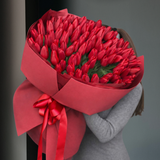 Bouquet  of red tulips